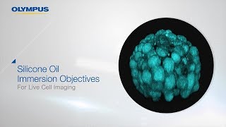 Silicone Oil Immersion Objectives: For Live Cell Imaging