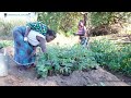 3 1 Food Security in Africa