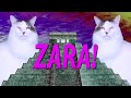 happy birthday zara epic cat happy birthday song