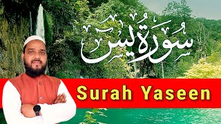 Surah Yasin | Yaseen Surah | Yaseen Surah Full | Surah Yaseen | Hafiz Arshad Ahmad Official