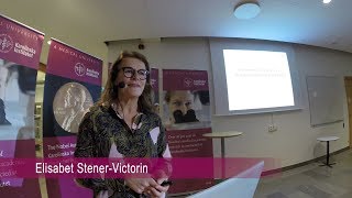 Get inspired by a professor: Elisabet Stener-Victorin