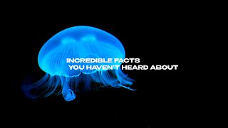 Top unbelievable facts you haven't heard about