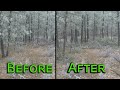 A day thinning trees on the property