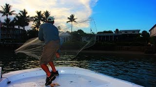 CAST NETTING WILD GOLDEN SHINERS! OVER 500 IN 1 THROW!!!