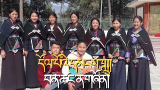 དོལ་པོའི་དམངས་གླུ་ཞིང་ཆུང་གྲུ་བཞི།  བན་ཚང་ན་གཞོན།