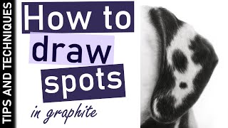 How to draw Dalmatian fur spots in graphite | Realistic fur drawing tips