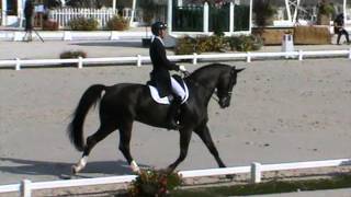 European Dressage Championship J/Y 2013. Rusakov Timofei / Zidane (RUS)