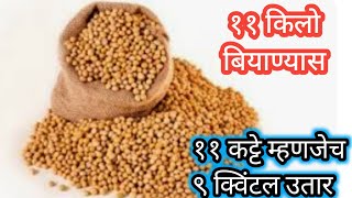 11 किलो बियाणे 11  कट्टे सोयाबीन #nkjadhavujlambkar #soybean #सोयाबीन