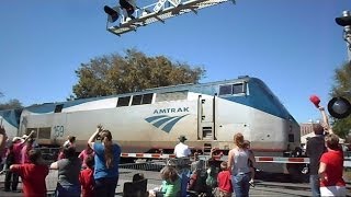 Amtrak Train Separates Strawberry Parade In Half