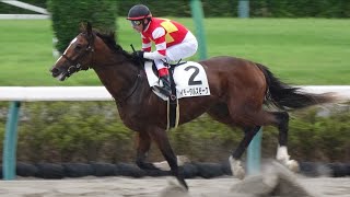 ２０１９年９月８日中山競馬３Ｒイモータルスモーク＆ミルコ・デムーロ騎手優勝！（アゴベイもあり）