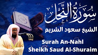 الشيخ سعود الشريم سورة النحل surah nahl saud al shuraim