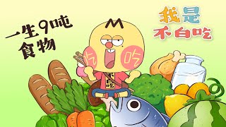 【我是不白吃】 257 鸡腿or长寿？生活总是让人难上加难~丨Mr.foodie