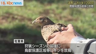 “国鳥”ニホンキジを放鳥