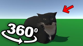 VR 360 Find Hidden Maxwell The Cat!