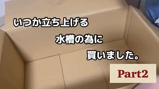 【アクアリウム開封動画】いつか立ち上げる水槽の為に買いました。Part2