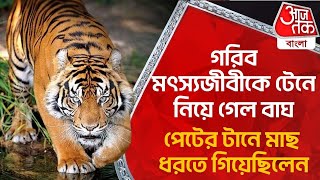 গরিব মৎস্যজীবীকে টেনে নিয়ে গেল বাঘ, পেটের টানে মাছ ধরতে গিয়েছিলেন | Sundarban| Royal Bengal Tiger