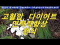 맹독버섯 독버섯 식용버섯 구별법. 중독사고 없앤다