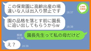 【LINE】高齢出産の私を見下し保育園の懇親会から追い出すママ友「年寄りは参加するなw」→好き放題するマウント女にある事実を伝えたときの反応が…ww【スカッとする話】