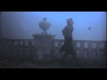 Amarcord (Fog)