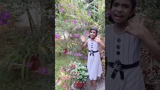 മുത്തുസിന്റ വീട്ടിലുള്ള ചില ചെടികൾ, Garden, പൂന്തോട്ടം, പൂക്കൾ, Flowers