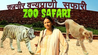 Exploring the Breathtaking Wildlife at Zoo Safari Rajgir, Bihar