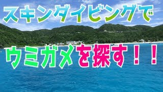 【絶対に行くべき！】沖縄最高の海、けらま諸島、渡嘉敷島は最高すぎた。