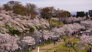 ウェザーリポート動画0413@新潟県上越市高田公園16:00ハロ(ぽんぽんやま)