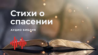 1 Библия. Стихи о спасении. Современный перевод / Bible Online