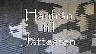 Suspekt Aspekt - Härifrån till Jättesten