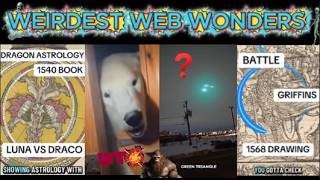 weirdest web wonders vol 57