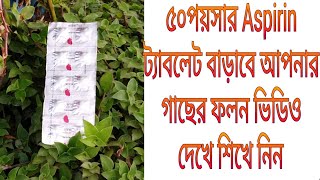 ৫০ পয়সার Aspirin ট্যাবলেট বাড়াবে আপনার গাছের ফলন কিভাবে শিখতে ভিডিওটি দেখুন