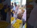 12.1.2025 v kota marigold rate kuppam vkota trending farming flowers video viralvideo funny