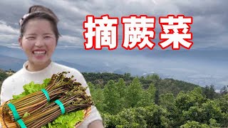 小潘和小伙伴们一起上山找野菜，收获满满，山上的风景也很美【农村小潘】