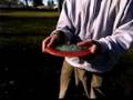 Disc Golf Tips : The Innova Champion Beast Disc