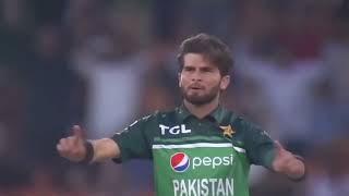 The King Of Swing At His Best | Top 30 Wickets of Shaheen Shah Afridi | PCB  #cricket #pakistan