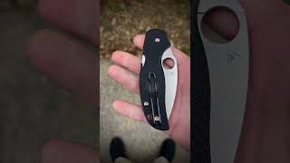 Spyderco Sage 5 lightweight #sharp #knives #spyderco #edc #asmr #knife #cut #blade #now #work #s5