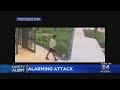 Miami Police Looking For Man in Alarming Attack On Woman At Brickell Condo