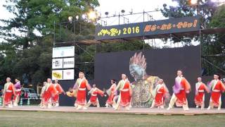 花柳　2016バサラ祭り　奈良公園会場②