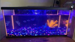 How to set up a fish Aquarium at home  | MARINA fish aquarium | cooking adventure n fun