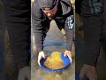 how much gold in one pan panning for gold