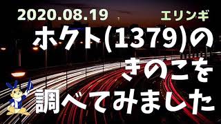 【エリンギ】ホクト(1379)のきのこを 調べてみました【ブナシメジ】