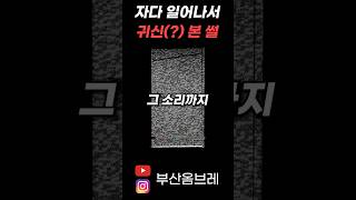 새벽에 자다가 귀신(?) 본 썰