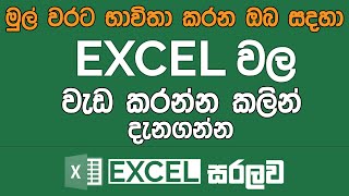 Things You Should Know Before Working in Excel | Excel Sinhala Tutorials