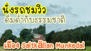 พามานั่งรถชมวิวข้างทาง  | เดินออกกำลังกายชมวิวทะเลสาบ | ชมนกเป็ดนํ้า เมือง Saltkällan Munkedal🇸🇪😍