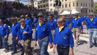 Treviso 90 adunata alpini sezione Torino 14 maggio 2017