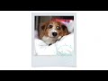 Sweet Baby by Bothnia feat. Cody Francis