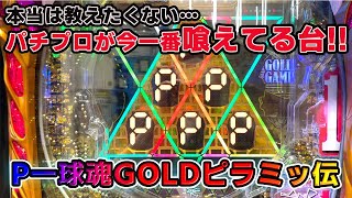 専業プロは喰える台を見逃さない…月収50万OVERを支えたのはこの台【2022年6月19日】現役パチプロおだっぺ45歳【P一球魂GOLDピラミッ伝】【パチンコをする為に生まれてきた男】