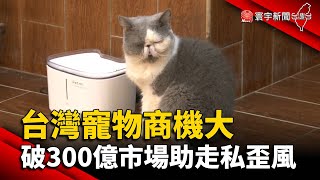 台灣寵物商機大 破300億市場助走私歪風@globalnewstw