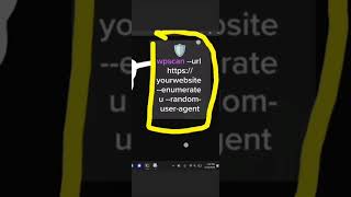 WPScan Tutorial – WordPress Vulnerability Scanning Beginner Friendly
