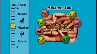 AGPR201 12 09 Alkaline Soils